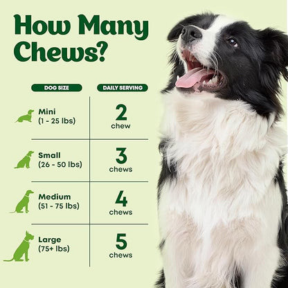 Dog Probiotic Chews Gut Health & Digestive Function Support Anti Diarrhea Upset Stomach & Gas Relief Yeast Balance Allergies & Itching Prebiotic Supplement Chews - 120 pcs