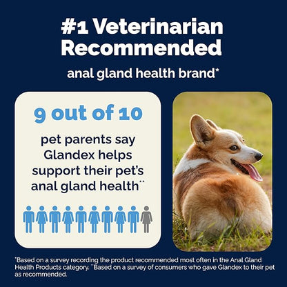 Vetnique Glandex Anal Gland Soft Chew Treats with Pumpkin for Dogs Digestive Enzymes, Probiotics Fiber Supplement for Dogs Boot The Scoot (Bacon Flavor Chews, 30 Count) (Pack of 2)