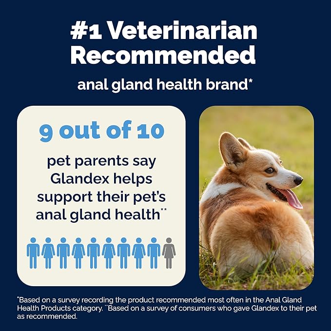 Vetnique Glandex Anal Gland Soft Chew Treats with Pumpkin for Dogs Digestive Enzymes, Probiotics Fiber Supplement for Dogs Boot The Scoot (30ct, Peanut Butter Chews) (Pack of 2)