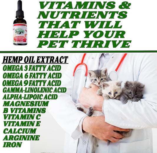 Pet Hemp Oil | Dogs and Cats | Catnip Oil | Green Planet Hemp | 120MG Organic Tincture | 100% Natural | Hip, Joint, and Muscle Support for Your Pet | Aids with Anxiety,Stress, and Pain