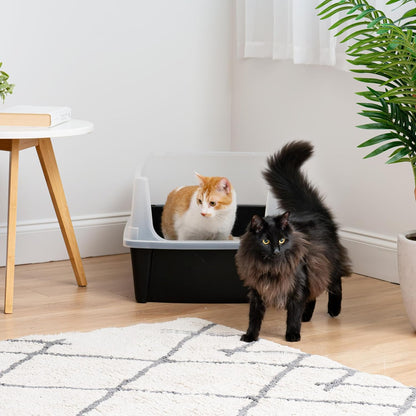 IRIS USA XX-Large Cat Litter Box, Open Top Extra Large Litter Box for Big Cats and Multi-Cat Households, High Sided Scatter Shield, Easy to Clean, 30" L x 20" W x 14" H, Black