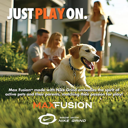 Max Fusion with Nike Grind, Arlee Gyro Treat Dispensing Dog Toy, Durable Dog Treat Toy, L