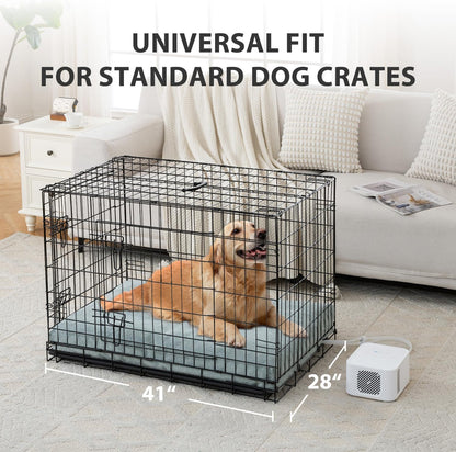 Pet Bed Cooling System, Consistent Cold Water Pad, No Refrigeration or Chemical Gel Needed, Machine Washable Bed, Ideal for Home and Crates (Cooling Green, 41" x 28")