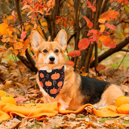 PTDECOR Fall Dog Bandana, Pumpkin Mushroom Design Scarf Reversible Holiday Dog Scarf, Triangle Thanksgiving Bandanas for Medium Large Pets (Large)
