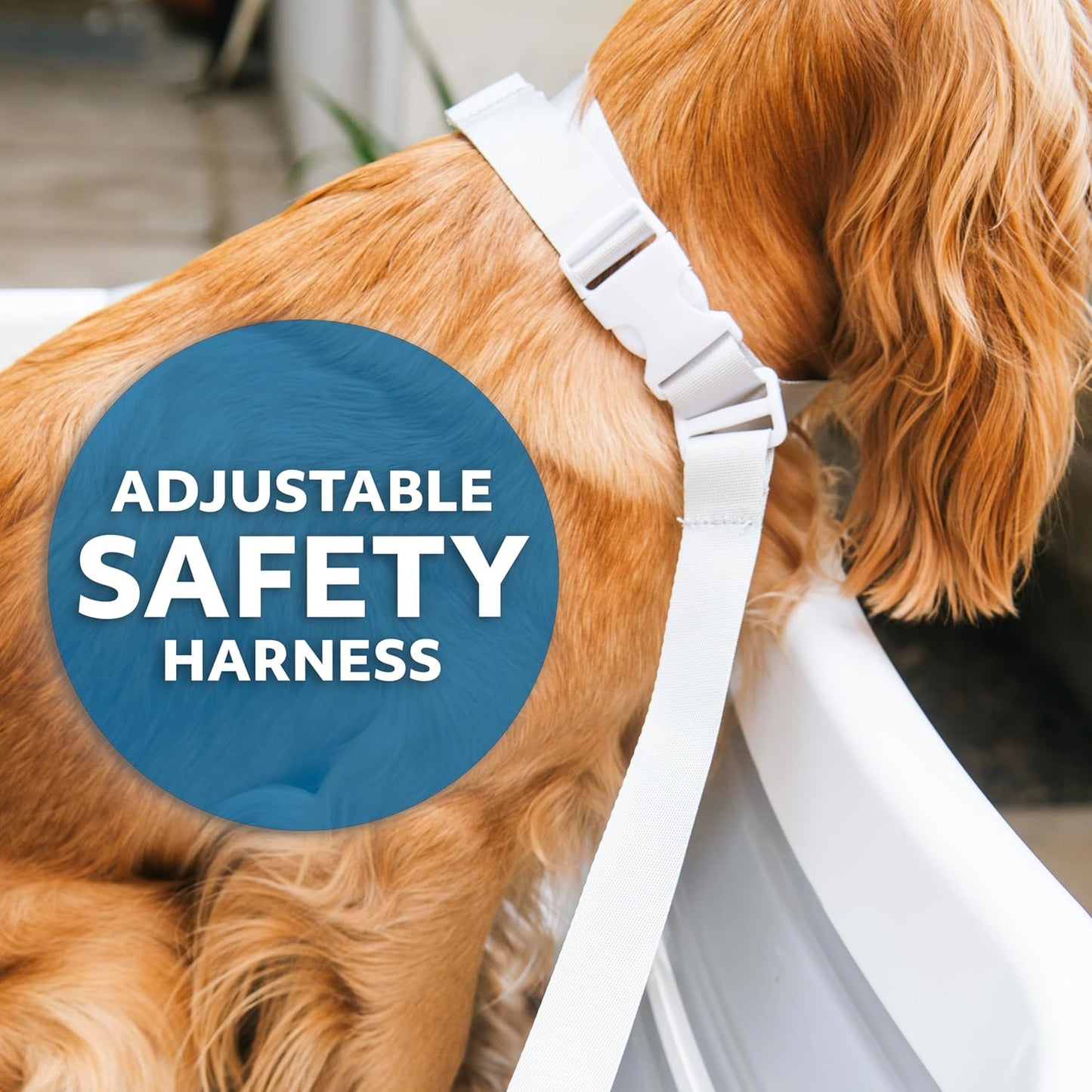 Smoochie 2 in 1 Dog Bathtub Washing Station, Elevated Pet Bath Tub, Collapsible and Portable Bathtub for Dogs, Cats Bathing, Shower and Grooming, Indoor and Outdoor