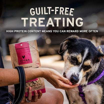 Vital Essentials Duck Bites Dog Treats, 2 oz | Freeze-Dried Raw | Single Protein | Premium Quality High Protein Training Treats | Grain Free, Gluten Free, Filler Free