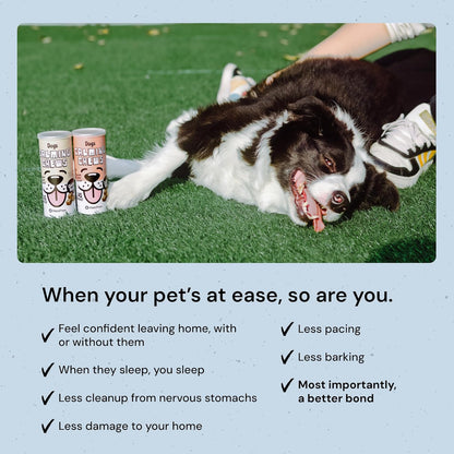 MalsiPree Calming Chews for Dogs - 145 pcs Salmon - Helps Regulate Mood - Anxiety Relief Treats - No Sedative Effect - Freeze Dried - with Passion Flower & Melatonin