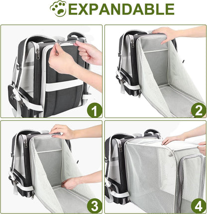 Texsens Cat Backpack - Expandable Pet Carrier for Medium Cats and Small Dogs up to 17 lbs - Breathable, Collapsible & Soft Cat Travel Bag for Outdoor Hiking (Black) - Pawvie
