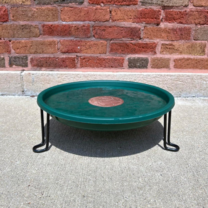 Ground Level Bird Bath - Floor Standing Bird Bath for Patio, Garden, or Deck - Black Steel Wire with Green Dish - Made in USA - Erva BA5SL