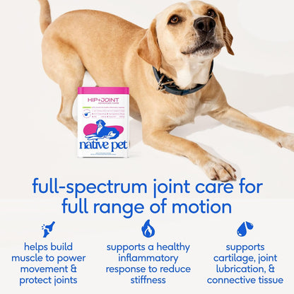 Native Pet Advanced Care - Hip & Joint Supplement for Dogs - Supports Joints, Cartilage, Muscles & Anti-Inflammatory with HMB, UC-II Collagen, Green Lipped Mussel & Hyaluronic Acid - 30 Scoops