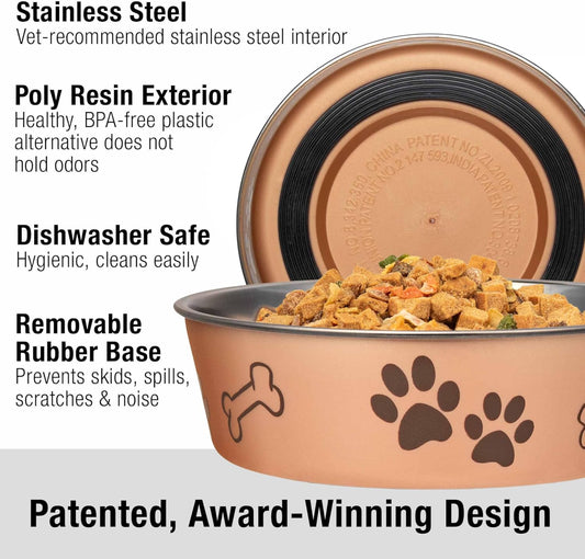 Loving Pets Bella Dog Bowls- Stainless Steel Dog & Cat Bowls - Spill Proof Dog Food Bowl, Cat Bowl, Puppy Essentials & Pet Supplies Great for Home & Travel (Medium 20-25 lbs, Champagne)