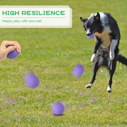 Shappy 24 Pieces Rubber Dog Tennis Balls for Dog Colorful Catching Pet Balls for Fetch Training 2.4 Inch Interactive Bounce and Floatable Toy for Park Beach