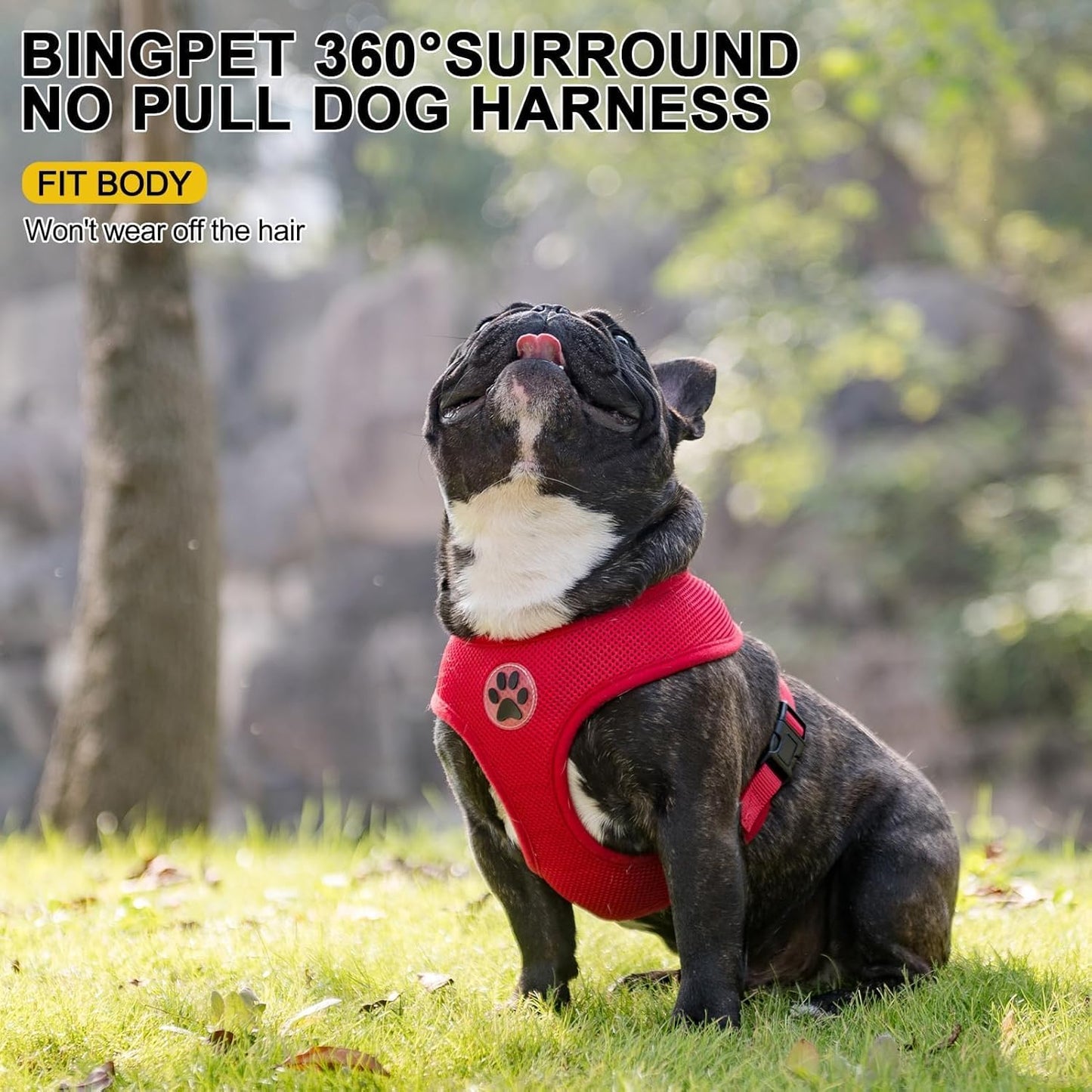 BINGPET No Pull Dog Harness for Small Medium Dogs,All Weather Mesh Step in Vest Harness for Small Dogs,Breathable Mesh Puppy Cat Harnesses,Step-in Air Dog Harness for for Small Dogs,Red,Medium