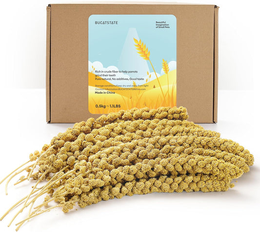 BUCATSTATE Spray Millet for Birds, Sun-Dried Healthy Millet Parakeet Treats for Parrots Cockatiel Lovebird Finch, GMO-Free Parakeet Food - 1.1lb