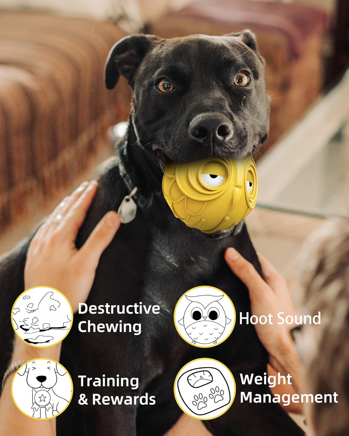 Giggle Ball for Dogs Owl Toys for Puppy Interactive Dog Toy Medium Large Dogs Natural Rubber Cute Hoot Fun Gift for Dog (Yellow Owl)