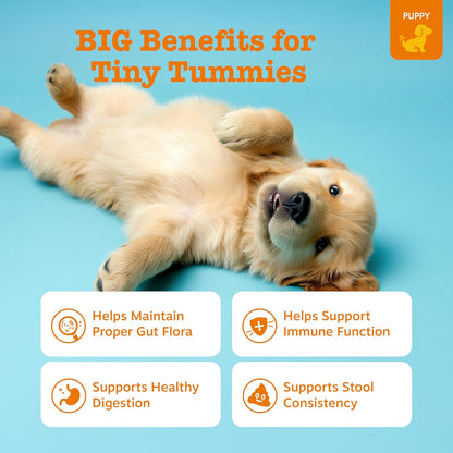 Zesty Paws Puppy Probiotics for Dogs - for Digestive Health, Gut Flora & Immune System Support - Dog Probiotics for Puppies with Bacillus subtilis & Pumpkin - 90 Count