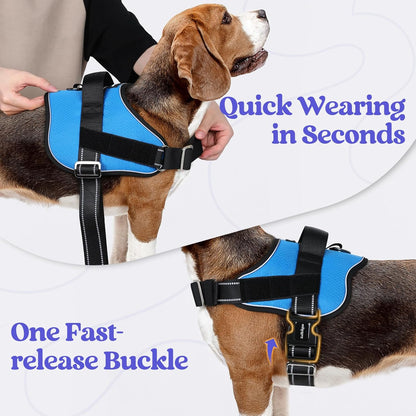 rabbitgoo Dog Harness for Small, Easy On Pet Vest with One Buckle, No Pull Adjustable Service Harness with D-Ring & Handle, Reflective for Safety Walking, Training, Blue, S