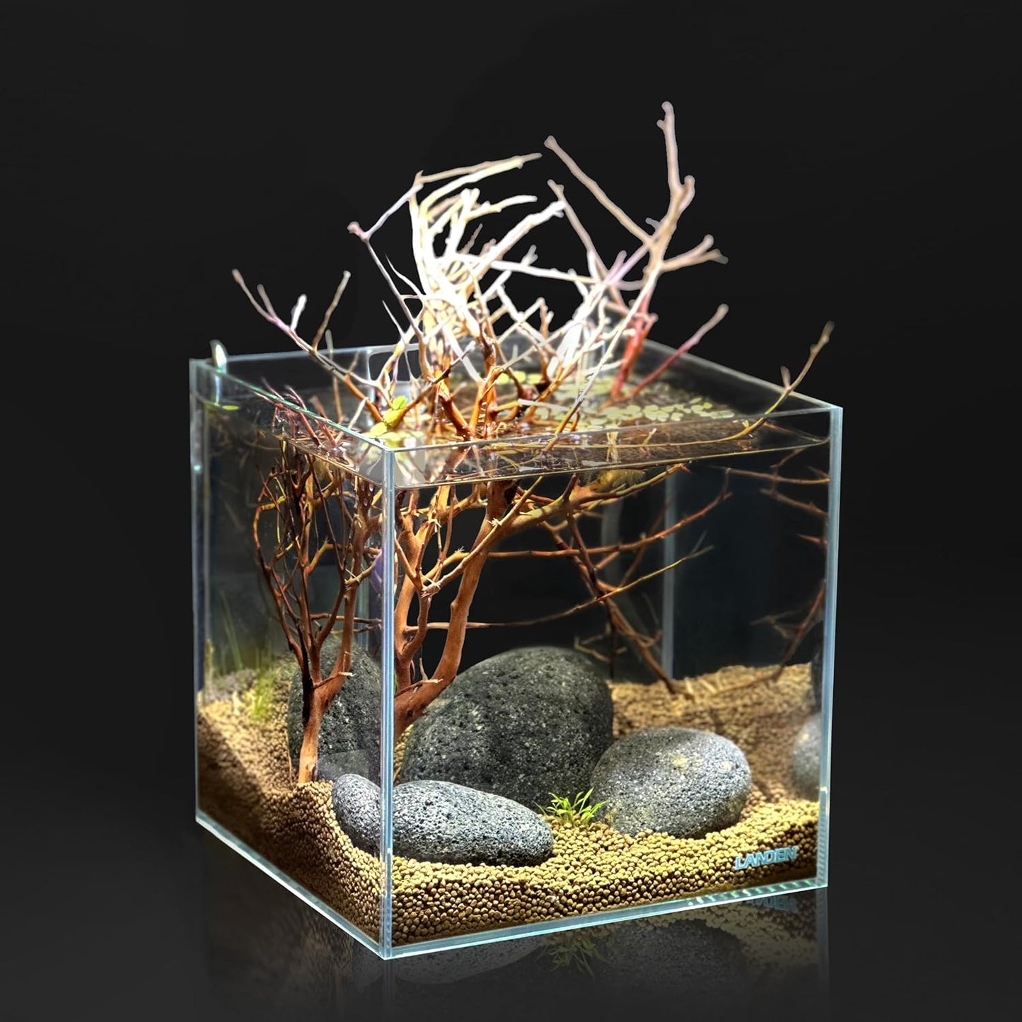 LANDEN Taiji Stone Natural Rocks(18lbs, 2~9 inches,6pcs) for Aquascape and Bonsai, Aquarium, Paludarium, Fish Tank Decoration Rocks, Landscaping Model Stone