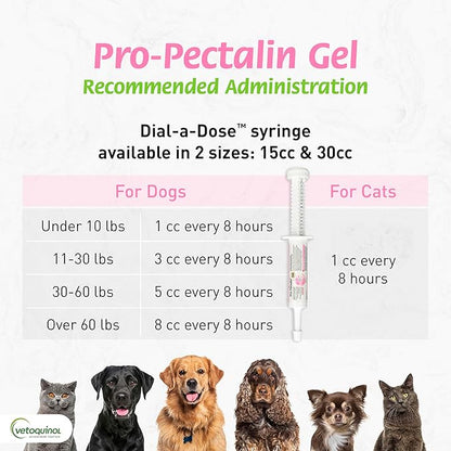 Vetoquinol Pro-Pectalin Oral Paste for Dogs & Cats – Chicken Flavor – Helps Reduce Occasional Loose Stool & Diarrhea, Balance Gut pH, Support Normal Digestion