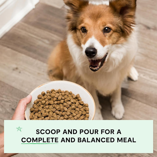 Open Farm, Grain-Free Dry Dog Food, Complete & Balanced Kibble, Sustainably & Ethically Sourced Ingredients, Non-GMO Veggies & Superfoods Support Overall Health, New Zealand Venison Recipe, 11lb Bag