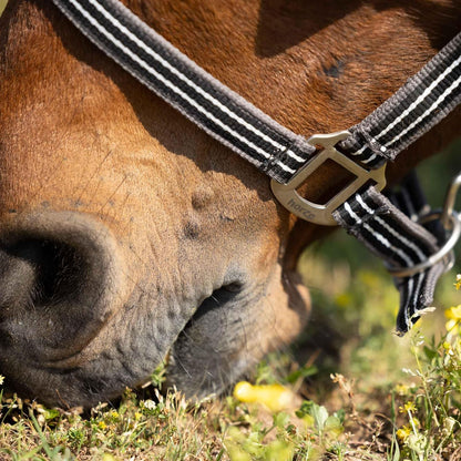 HORZE Adepto Adjustable Horse Halter | Soft, Durable Polyester - Dark Navy - Pony