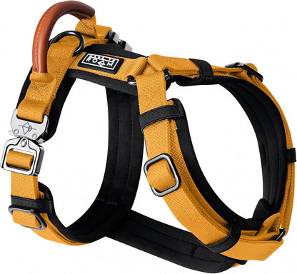 MADE TO ROAM Premium Explorer Harness - Y-Shaped Dog Harness with Adjustable Durable Nylon, Soft Padding, Metal Buckles and Leather Handle for Small, Medium, Large Dogs (Michigan Autumn, Size 7)