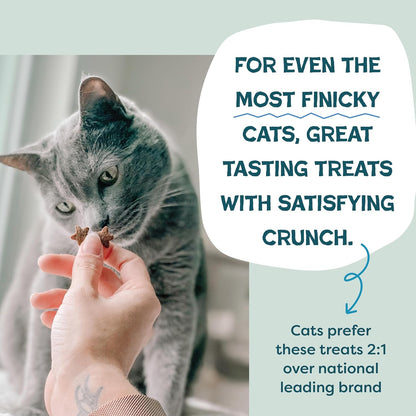 Shameless Pets Crunchy Cat Treats - Catnip Treats for Cats with Digestive Support, Kitten Treats with Real Ingredients, Natural & Healthy Flavored Feline Snacks - Catnip N Chill Tuna, 12 oz