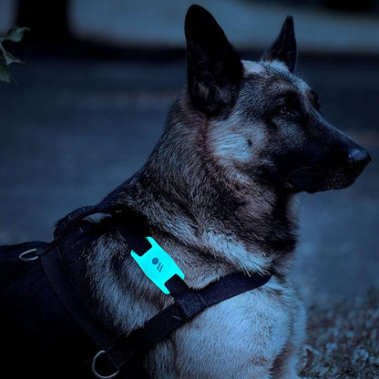 Case-Mate Airtag Dog Collar Holder - Water Resistant Airtag Holder Tag - Protective Case for Pet Collar Loop - Compatible with Cat/Dog Collars - Glow in The Dark