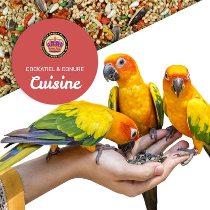 Cockatiel & Conure Cuisine 4 Lbs, Cockatiel & Conure Bird Seed, Nutrient-Rich Mixed Birdseeds, Bird Food for Cockatiels, Natural Mixed Seeds for Other Small Parrot, Daily Energy Growth & Balanced Diet