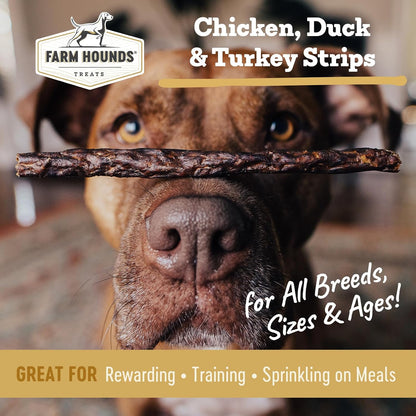 Farm Hounds - Bundle Gizzards - Premium Chicken, Duck, & Turkey Jerky for Dogs - from 100% Humanely Raised - Break-to-Size - Great for Training & Treats - No Added Fillers - Made in USA - 3 Pack
