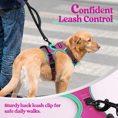 rabbitgoo Dog Harness No Pull with 2 Leash Clips, Adjustable Soft Padded, Reflective Oxford No Choke Pet Vest with Easy Control Handle for Large Dogs, Hot Pink & Turquoise, M