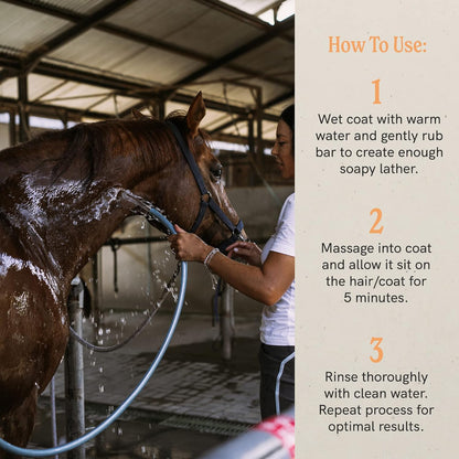 J·R·LIGGETT'S Botanical Horse Liquid Shampoo for Sensitive Skin | Hypoallergenic Biodegradable Shampoo Formula for Horses | 100% Eco-Friendly | Detergent-Free Horse Supply | 16.9fl.oz