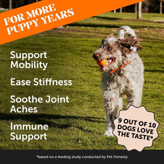 Hip & Joint Turmeric Health - Joint Supplement for Dogs, Omega-3 Fish Oil, Turmeric to Support Overall Health & Ease Stiffness - Advanced Pet Mobility Support - 90 Ct (Pumpkin)