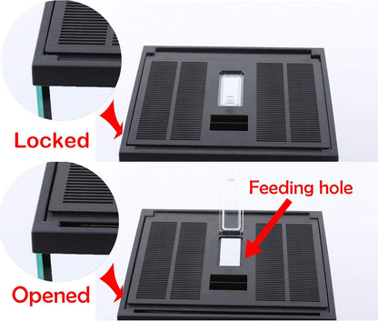crapelles Black Small Vertical Insect GlassTerrarium, 7.8x7.8x10.8'' Reptile Tank, for Tarantula Larvae Caterpillar Frog Snail Spider Hermit Crab Habitat Container House Cricket Breeding Box