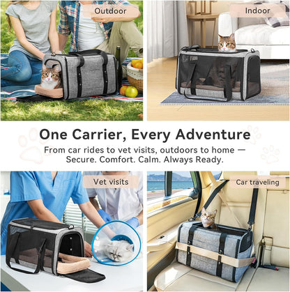 Petsfit Pet Carrier for Large Cats, Cat Carrier for Medium Cats and Puppy up to 20lbs, 4-Sided Breathable Mesh, Escape Proof and Locking Zipper, Sturdy Structure,Grey