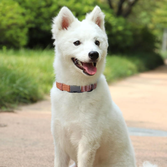 PET ARTIST Soft Cotton Dog Collar for Medium Dogs in Rustic Brown, Simple Dog Collar with Quick Release Metal Buckle & D Ring, M Size (13-21")