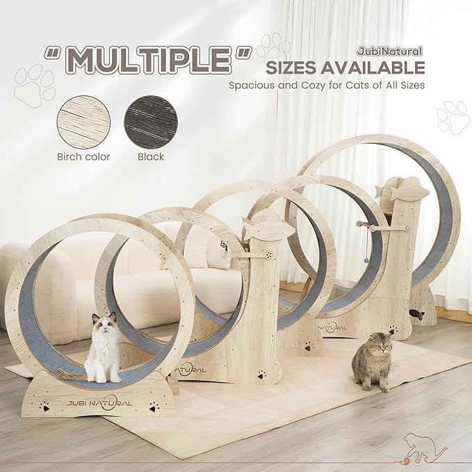 Cat Exercise Wheel, 43" Cat Running Wheel for Indoor Cats with Quiet Carpeted Runway, Cats Treadmill Wheels with Locking Mechanism, Cat's Weight Loss and Health - Black