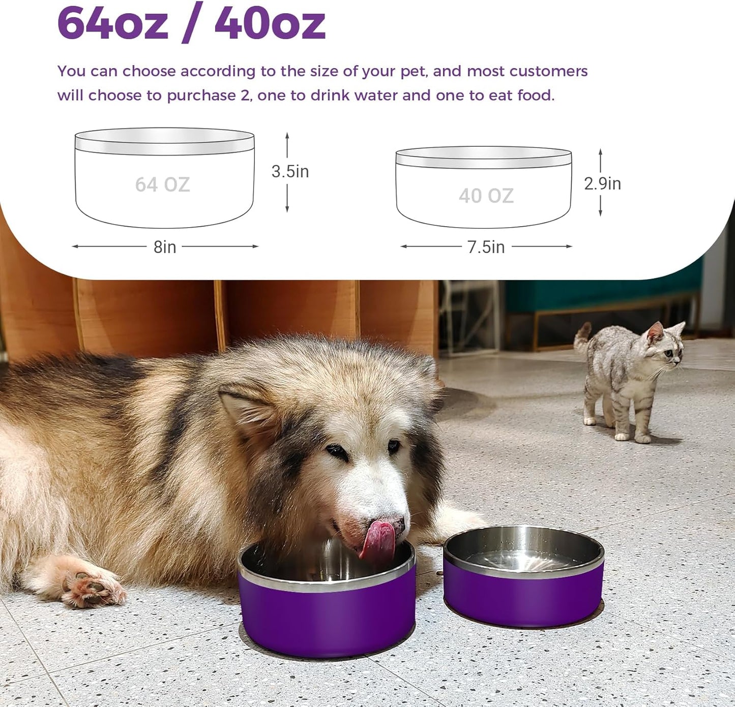 Dog Bowl, Stainless Steel Dog Food and Water Bowl with Non Slip Quiet Bottom, Easy to Clean, Dishwasher Safe, 64oz, Purple