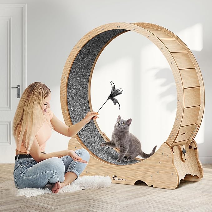 Cat Wheel, 48" XL Large Cat Treadmill for Indoor Pets, Cats Exercise Running Wheel with Detachable Carpet, Quiet and Sturdy, Suitable for Most Cats Running/Walking/Training