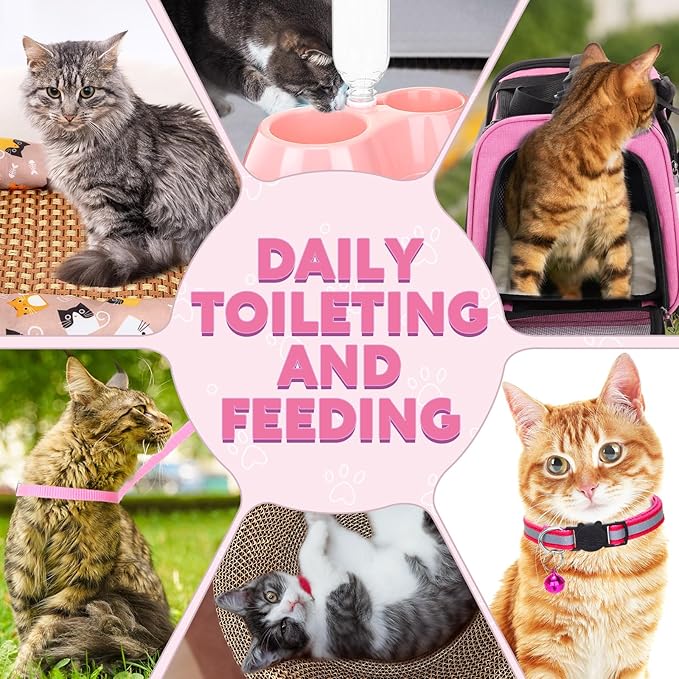 38 Pcs Kitten Supplies Starter Kit Cat Essentials Set Include Cat Scratcher Cardboard Stainless Steel Litter Box Bed Carrier Kitten Toys Accessories for Welcome Gift Supplies