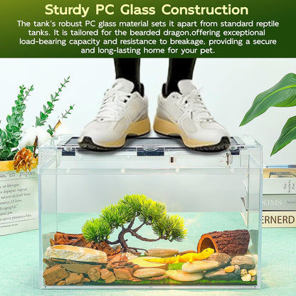 Reptile Tank Kit with Heat Lamp, Spray Bottle, Shovel, Tweezers, Food Bowl, Hideout -Perfect for Geckos, Jumping Spider,Milk Frog,Hermit Crabs,Snakes, Lizards (8''×8''×6'')