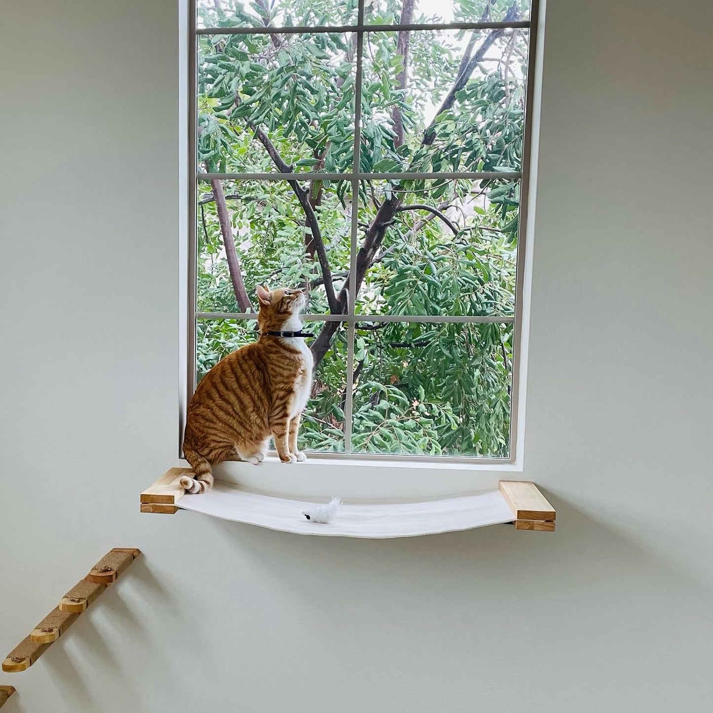 FUKUMARU Cat Wall Furniture, 34 x 13 inch Cats Hammock Shelves, Rubberwood Kitten Window Perch, Easy DIY Installation