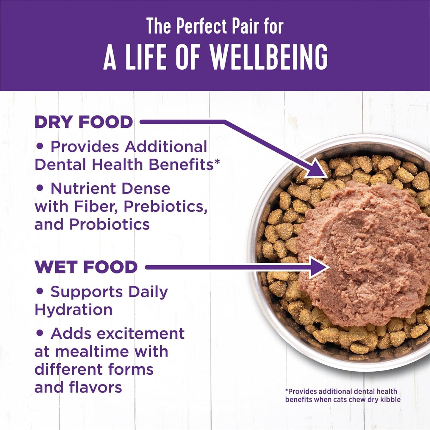 Wellness Complete Health Pate Adult Wet Cat Food, Natural, Protein-Rich, Grain Free, 5.5 Ounce, 24 Pack, (Turkey)