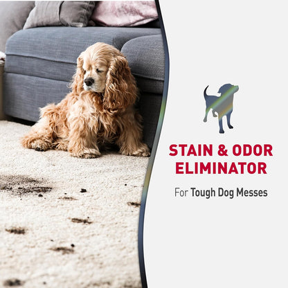 Nature’s Miracle Advanced Stain And Odor Eliminator for Dogs, Fresh Scent, Severe Mess Enzymatic Formula For Tough Pet Messes, 1 Gallon