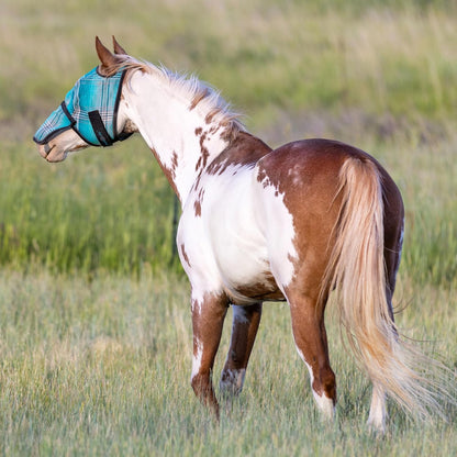 Kensington Signature Fly Mask with Removable Nose — Protects Horses Face and Nose from Biting Insects and UV Rays While Allowing Full Visibility — Ears and Forelock Able to Come Through The Mask