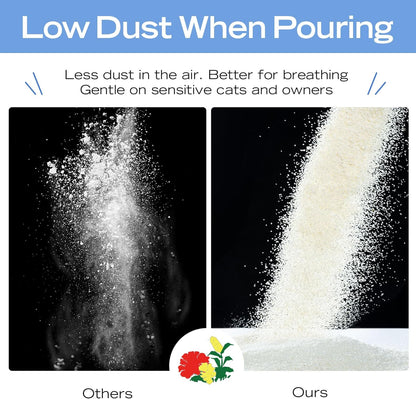 Natural Cat Litter Unscented, 100% Plant-Based, Strong Clumping Litter, Easy Scooping, Clumps Lift Cleanly, Low Dust, Corn & Cassava Litter, 5.5 LB