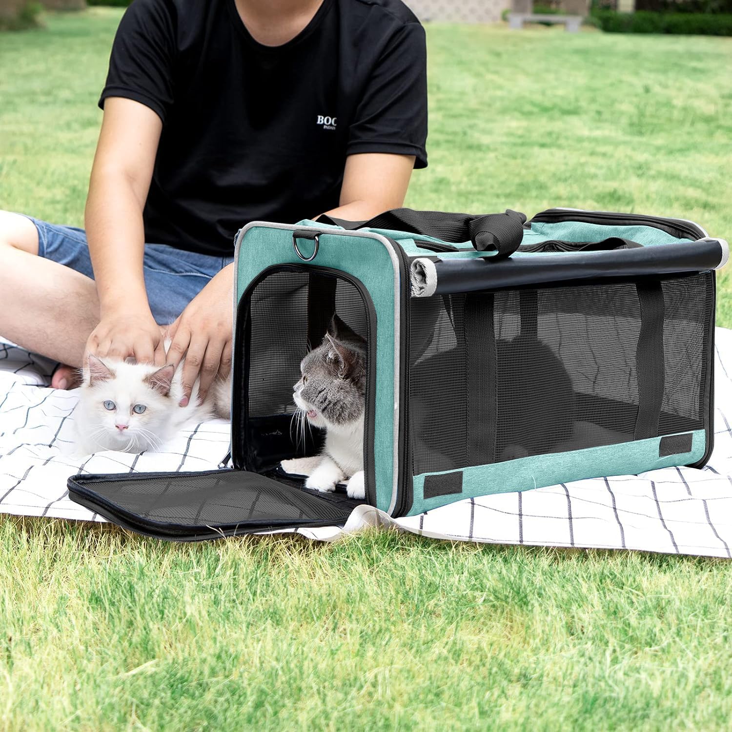 Small Dog Carrier for Puppy Yorkshire Softshell Car Transport Chihuahua Carry Cage 18-inch Collapsible Doggie Vet Visit Crate Easy Load Roomy Pet Carrier Bag Kennel Dog Essentials Teal - Pawvie