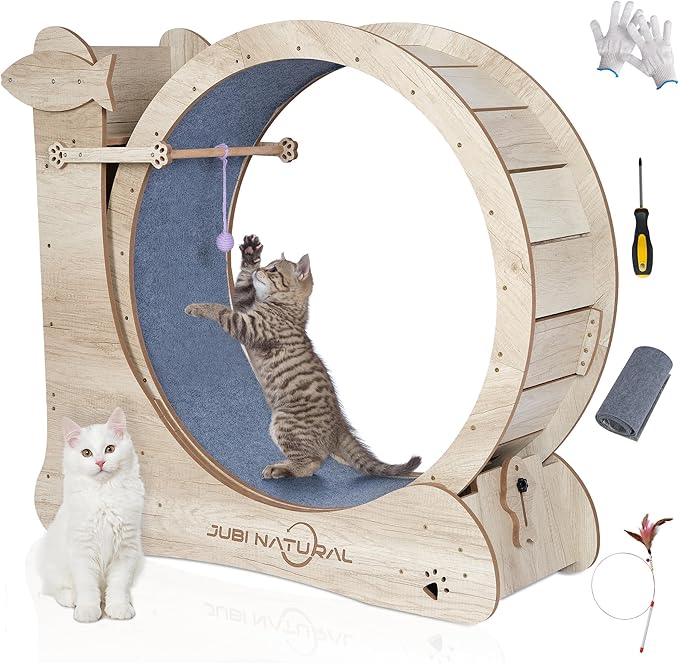 Cat Exercise Wheel, 43" Cat Running Wheels for Indoor Cats with with Locking Mechanism, Cats Treadmill Wheels with Scratching Board and Teaser Toy, Cat's Weight Loss and Health