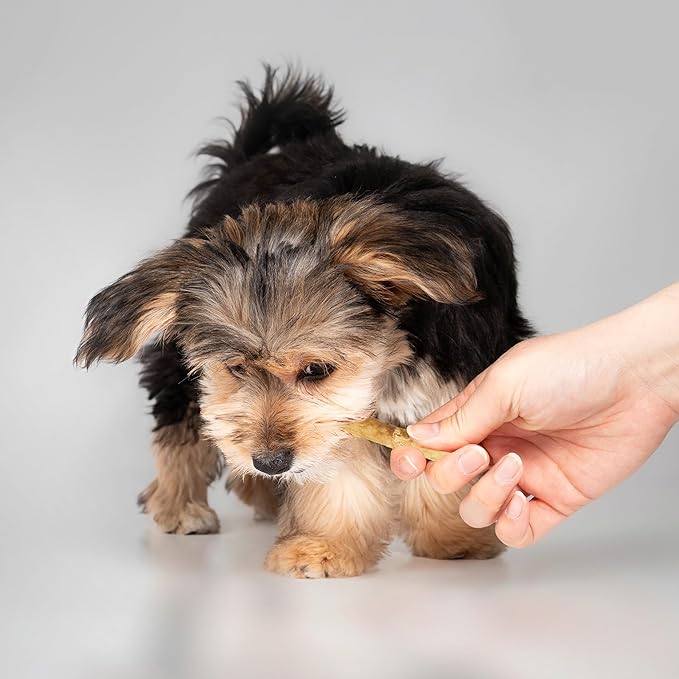 Fieldcrest Farms Nothing to Hide Natural Rawhide Alternative Small Twist Stix for Dogs - (10 Sticks) All Natural Easily Digestible Chews for All Breed Dogs - Great for Dental Health (Pack of 2)
