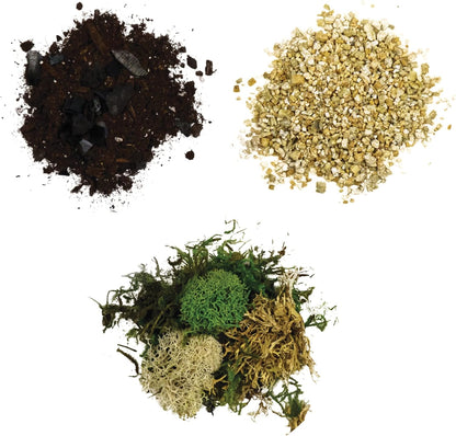 Cute Farms Terrarium Starter Kit with Glass | Moss, Vermiculite, Soil, Plant Food, Finishing Tool, Miniature Dinosaurs, Build and Care Guide